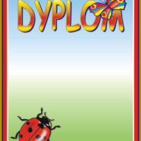 Dyplom edukacyjny D-33