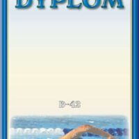 Dyplom sportowy D-42