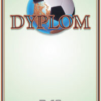 Dyplom sportowy D-13